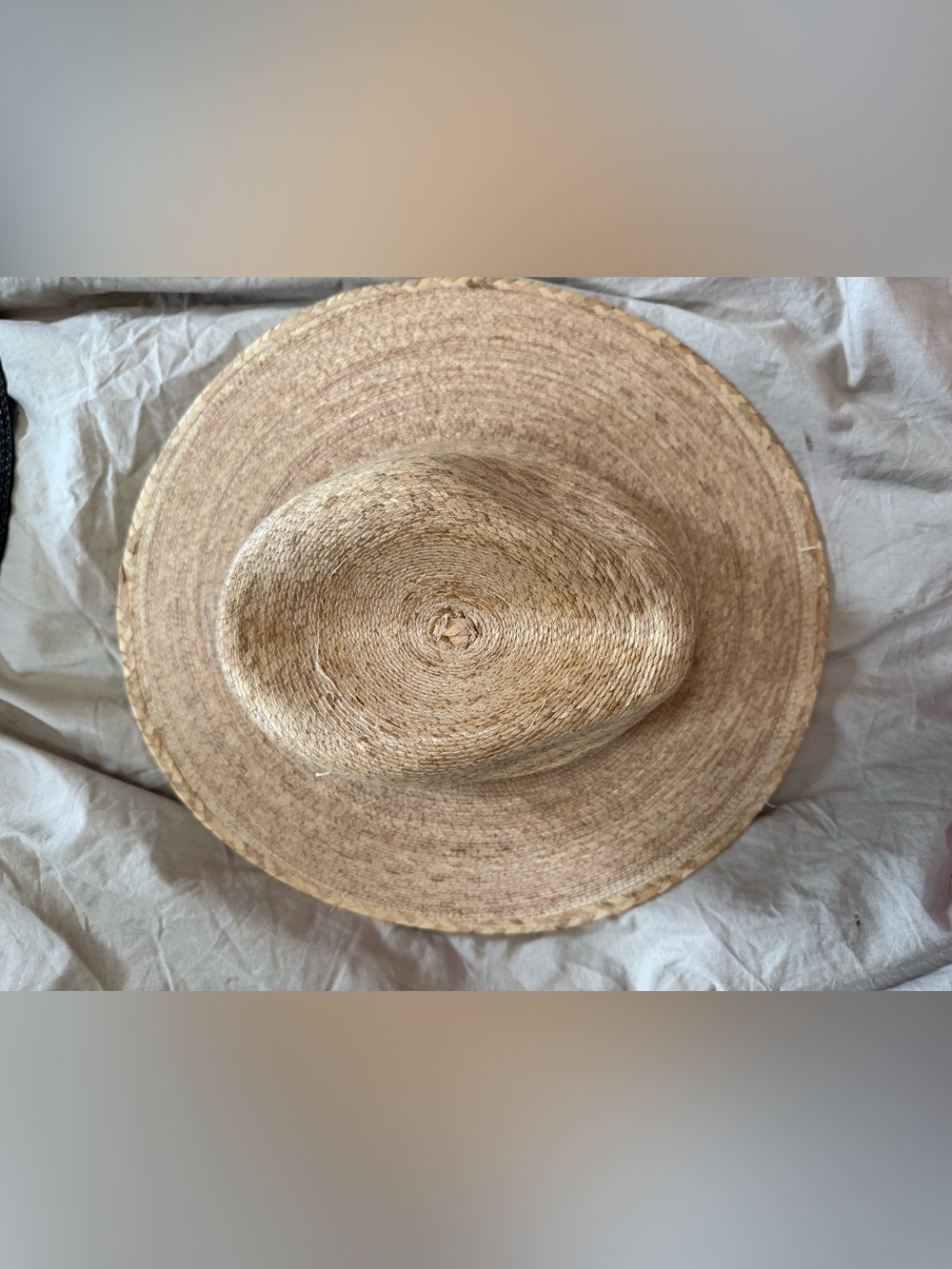Palma Fedora in Natural
